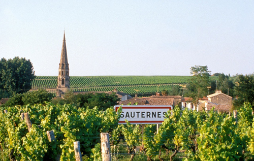 蘇玳產區（Sauternes）