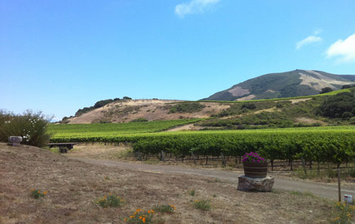 圣麗塔山產區（Santa Rita Hills）