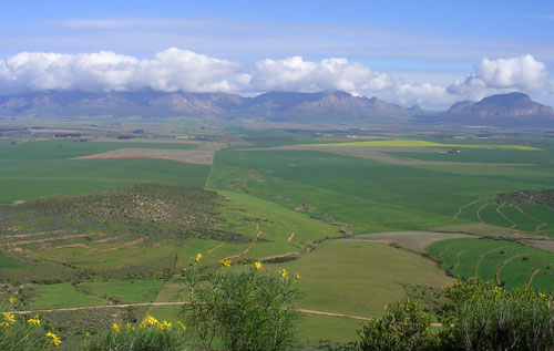 北開普省產區(qū)（Northern Cape）