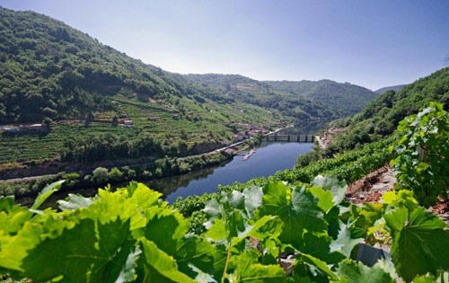 加利西亞產區(qū)（Galicia）