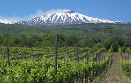 埃特納產區(qū)（Etna DOC）